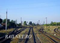 Imagine atasata: IMG_2282.JPG